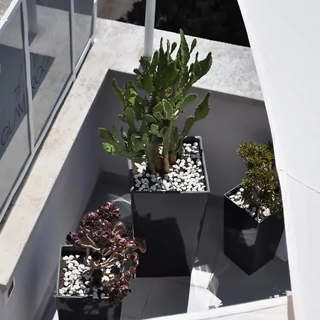 Glamroom Luxury Terrace Pensionat Rom