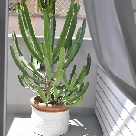 글램룸 럭셔리 테라스 게스트하우스