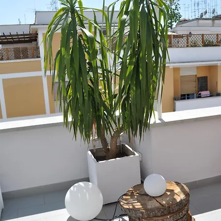 게스트하우스 글램룸 럭셔리 테라스