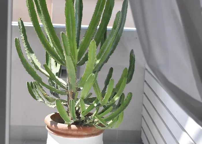 Glamroom Luxury Terrace Gasthof