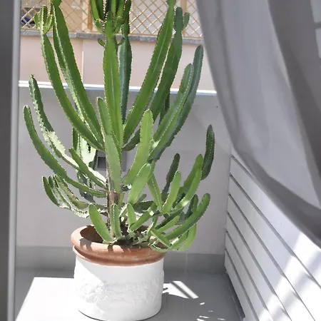 Glamroom Luxury Terrace Penzion